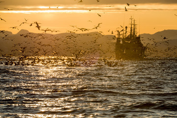 Калининградские рыбаки предлагают не взимать НДС при ремонте рыболовецких судов