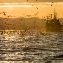 Калининградские рыбаки предлагают не взимать НДС при ремонте рыболовецких судов