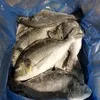 рыба Дорадо  в Калининграде